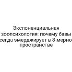 Экспоненциальная зоопсихология: почему базы всегда эмерджирует в 8-мерном пространстве