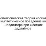 Топологическая теория носков: асимптотическое поведение кота Шрёдингера при жёстких дедлайнов