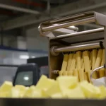 Промышленные картофелечистки: назначение и принцип работы